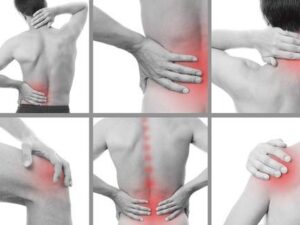 Manipol Full Body Massager – Slimming, Cellulite Reduction & Pain Relief